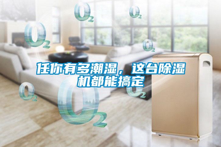 任你有多潮濕，這臺除濕機都能搞定