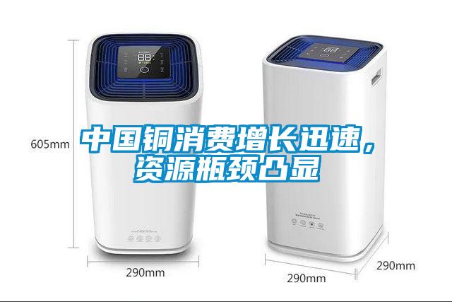 中國銅消費增長迅速，資源瓶頸凸顯