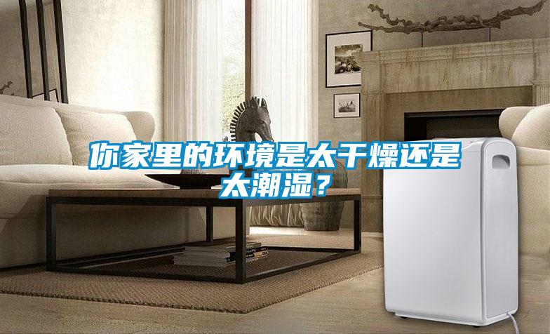 你家里的環境是太干燥還是太潮濕？