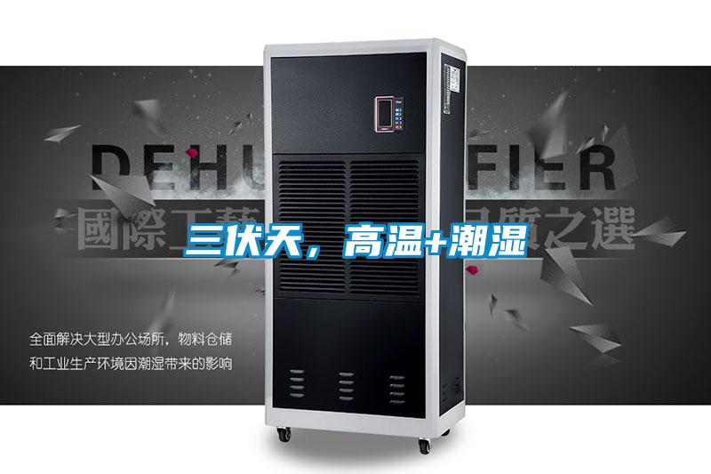 三伏天，高溫+潮濕