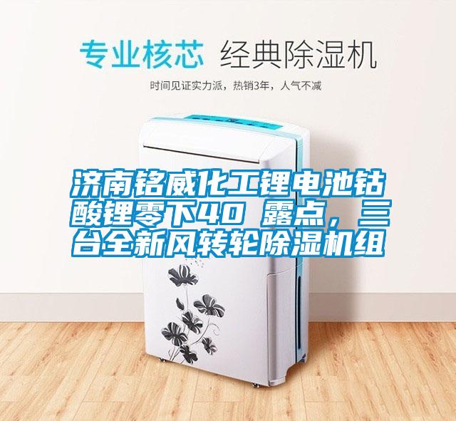 濟(jì)南銘威化工鋰電池鈷酸鋰零下40℃露點，三臺全新風(fēng)轉(zhuǎn)輪除濕機組