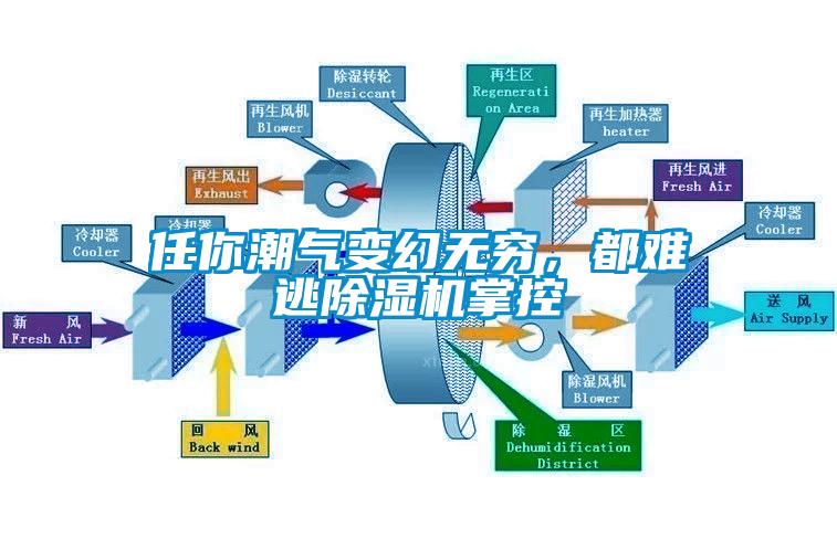 任你潮氣變幻無窮，都難逃除濕機掌控
