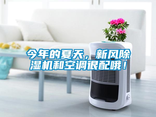 今年的夏天，新風(fēng)除濕機和空調(diào)很配哦！