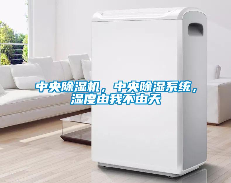 中央除濕機，中央除濕系統，濕度由我不由天
