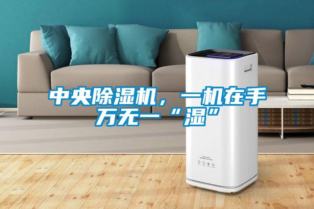 中央除濕機，一機在手萬無一“濕”