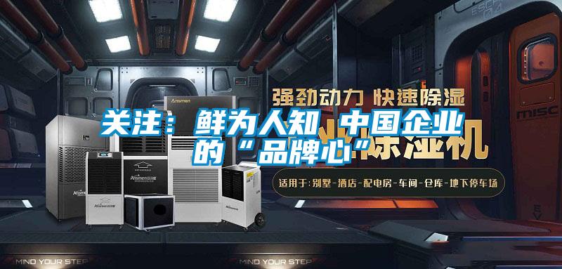 關注:鮮為人知 中國企業的“品牌心”