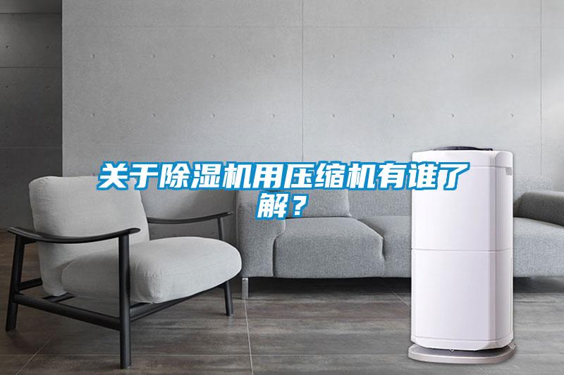 關(guān)于除濕機(jī)用壓縮機(jī)有誰了解？