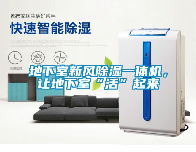 地下室新風除濕一體機，讓地下室“活”起來