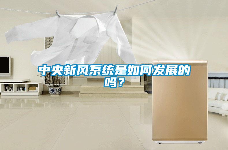 中央新風(fēng)系統(tǒng)是如何發(fā)展的嗎？