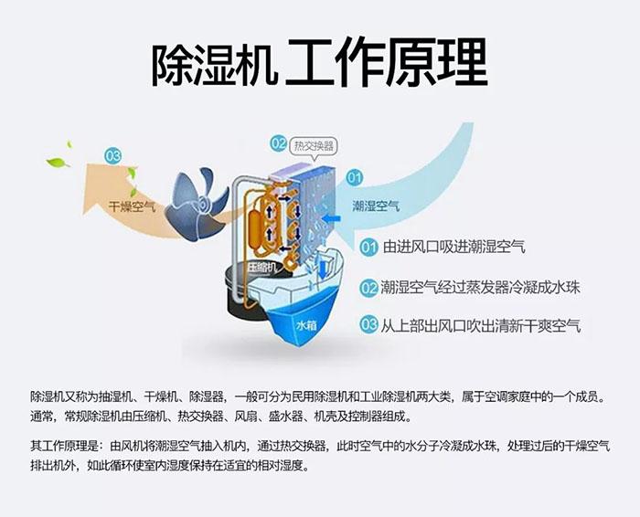 冷庫消毒用什么好？冷庫霧化消毒機