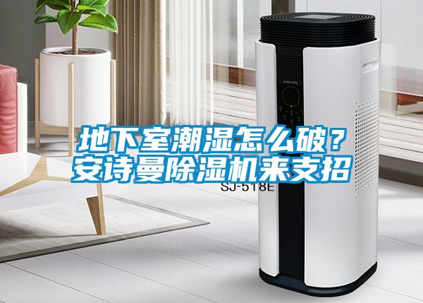 地下室潮濕怎么破？安詩(shī)曼除濕機(jī)來支招