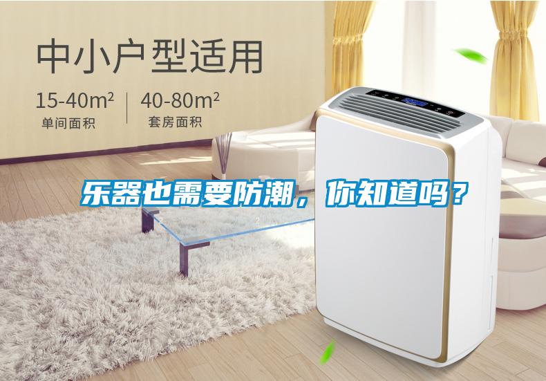 樂(lè)器也需要防潮，你知道嗎？