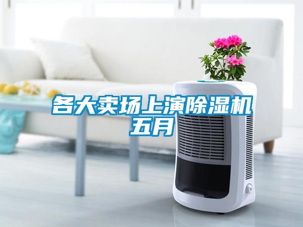 各大賣(mài)場(chǎng)上演除濕機(jī)五月