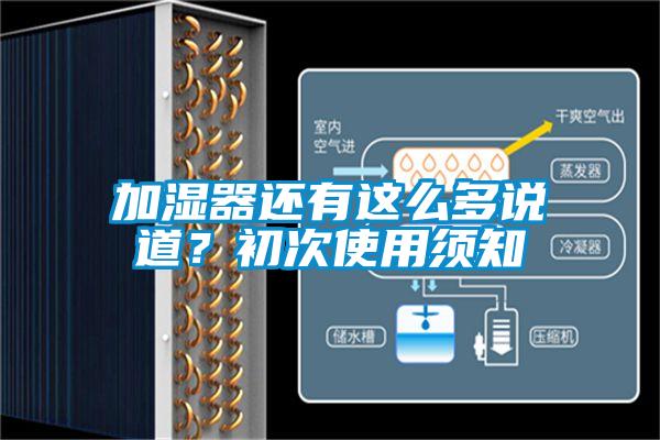 加濕器還有這么多說道？初次使用須知