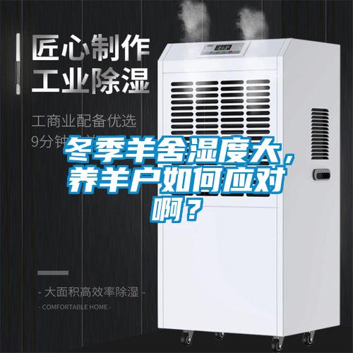 冬季羊舍濕度大，養羊戶如何應對??？
