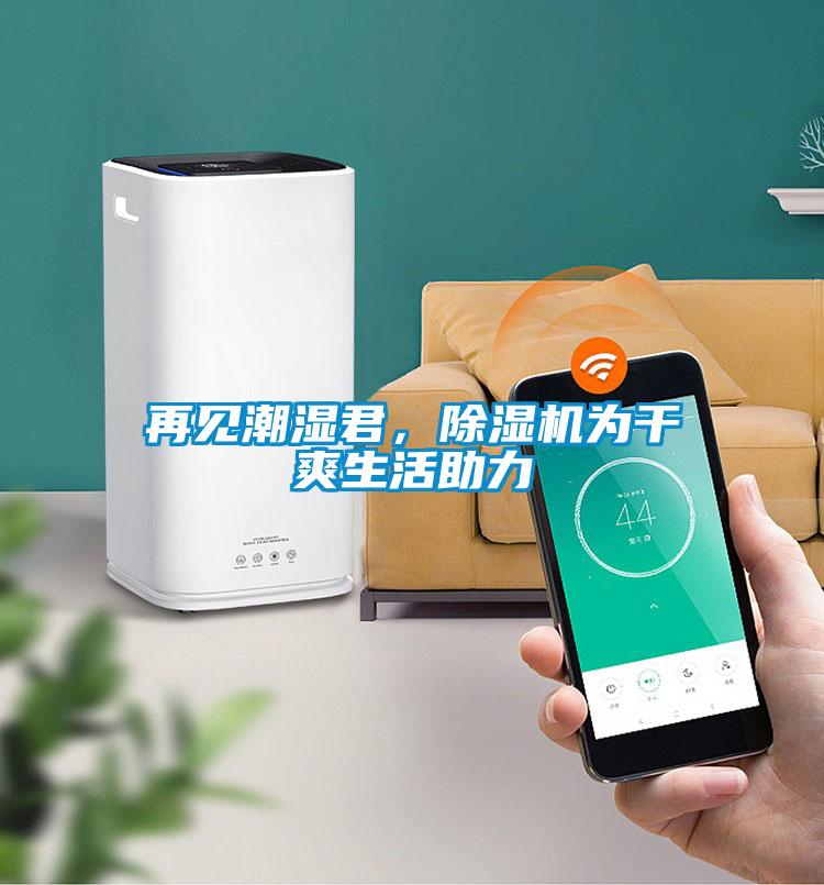 再見潮濕君，除濕機為干爽生活助力