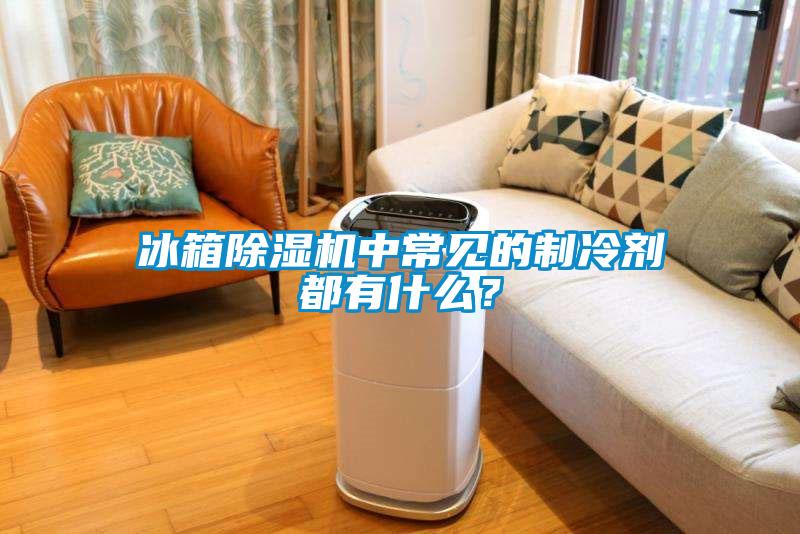 冰箱除濕機中常見的制冷劑都有什么？