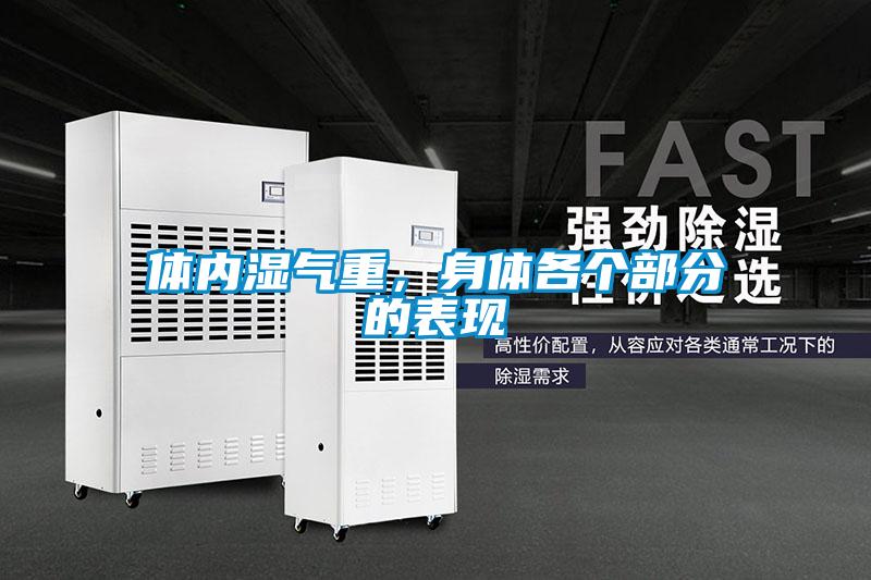 體內濕氣重，身體各個部分的表現