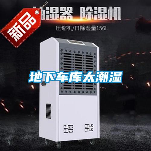 地下車庫(kù)太潮濕