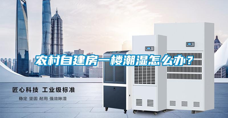農(nóng)村自建房一樓潮濕怎么辦？