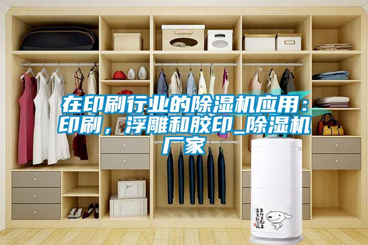 在印刷行業的除濕機應用：印刷，浮雕和膠印_除濕機廠家