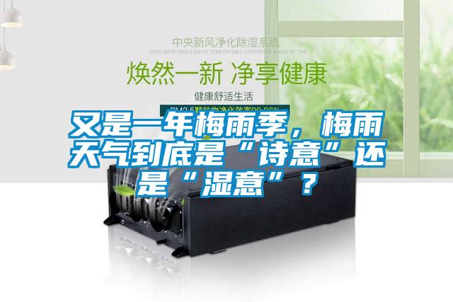 又是一年梅雨季，梅雨天氣到底是“詩意”還是“濕意”？