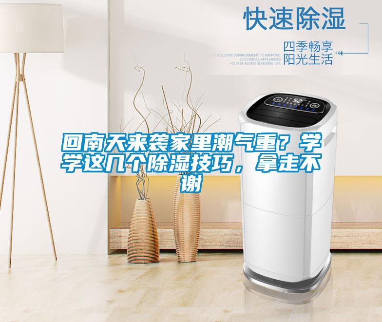 回南天來襲家里潮氣重？學(xué)學(xué)這幾個除濕技巧，拿走不謝