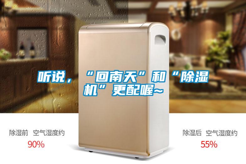 聽說，“回南天”和“除濕機”更配喔~