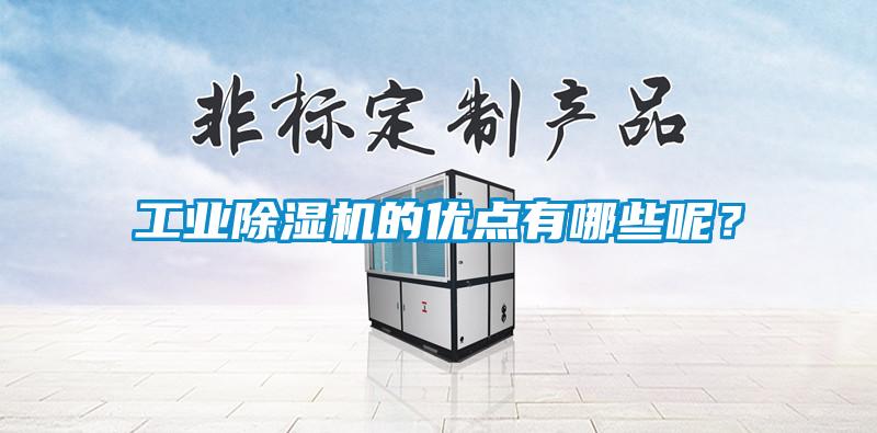 工業(yè)除濕機(jī)的優(yōu)點(diǎn)有哪些呢？