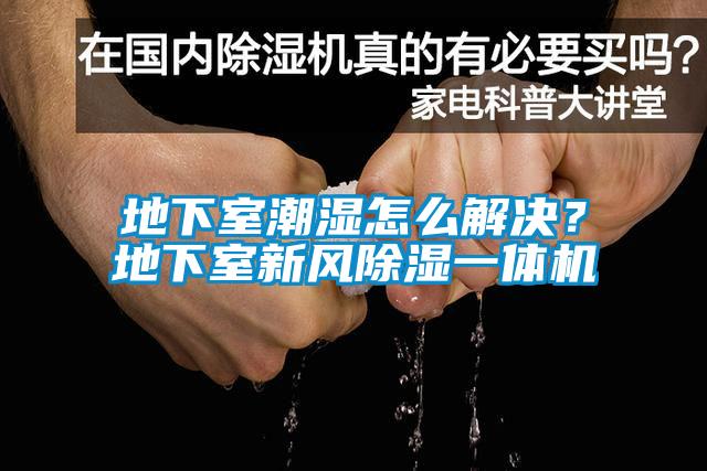 地下室潮濕怎么解決？地下室新風(fēng)除濕一體機