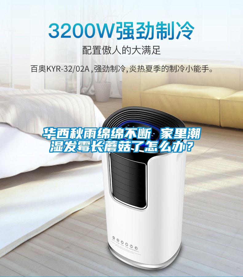 華西秋雨綿綿不斷 家里潮濕發霉長蘑菇了怎么辦？