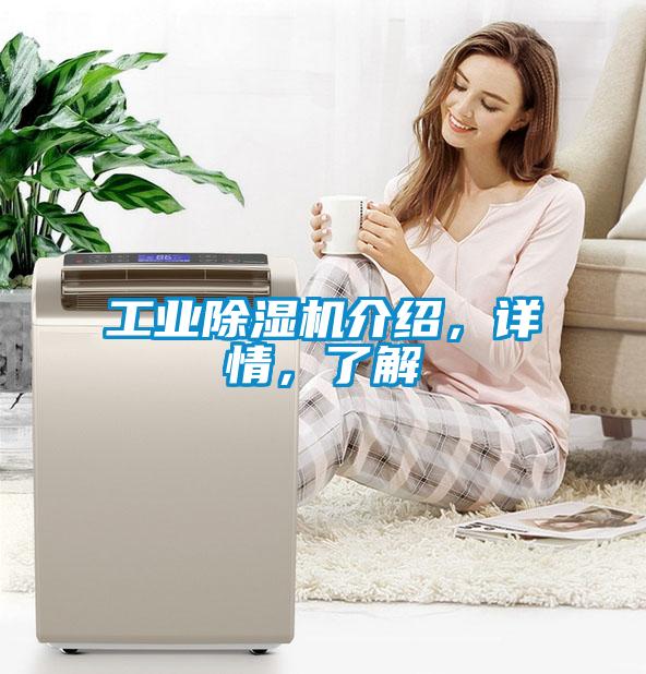 工業(yè)除濕機(jī)介紹，詳情，了解