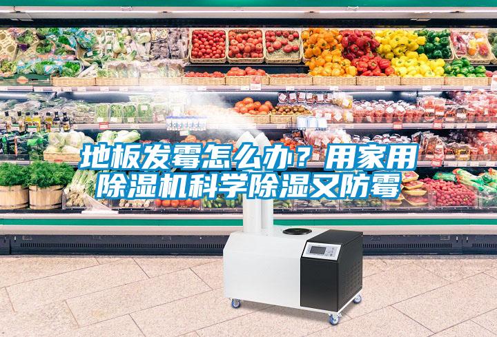地板發(fā)霉怎么辦？用家用除濕機(jī)科學(xué)除濕又防霉
