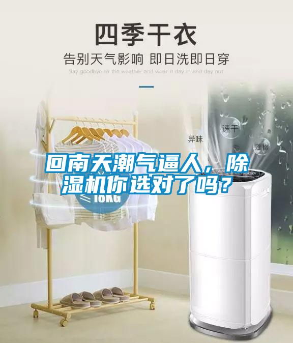 回南天潮氣逼人，除濕機你選對了嗎？