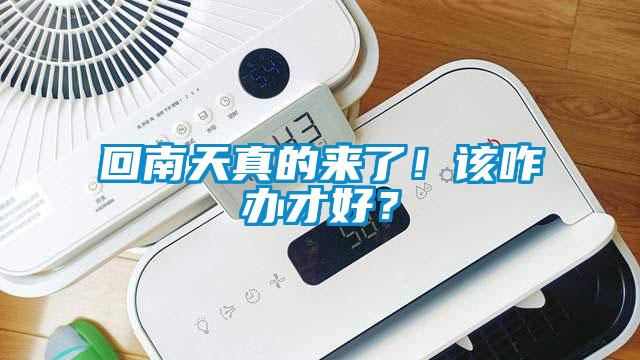 回南天真的來了！該咋辦才好？