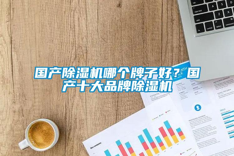 國產(chǎn)除濕機(jī)哪個(gè)牌子好？國產(chǎn)十大品牌除濕機(jī)