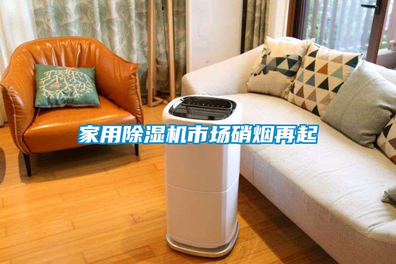 家用除濕機(jī)市場硝煙再起