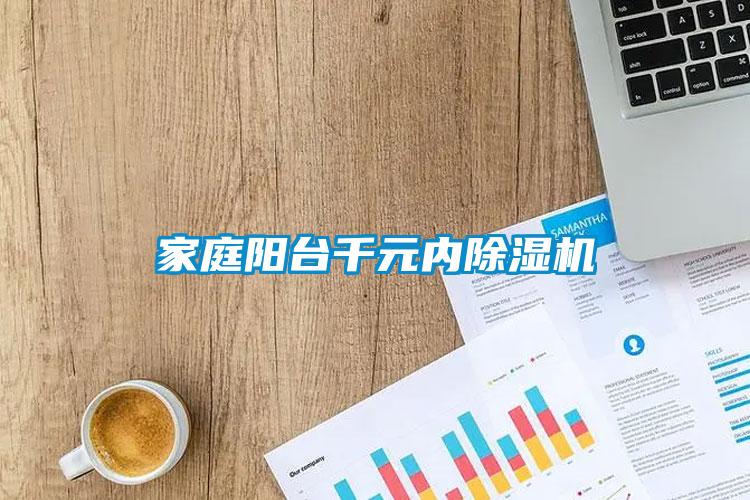 家庭陽臺千元內(nèi)除濕機(jī)