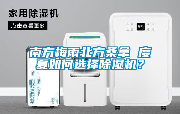 南方梅雨北方桑拿 度夏如何選擇除濕機(jī)？