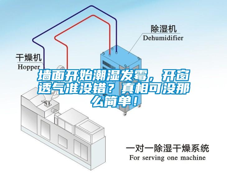 墻面開始潮濕發(fā)霉，開窗透氣準(zhǔn)沒錯(cuò)？真相可沒那么簡(jiǎn)單！