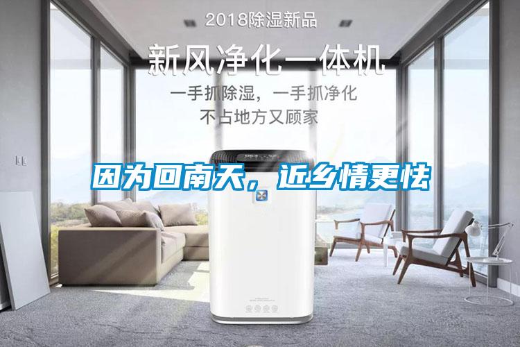 因為回南天，近鄉情更怯