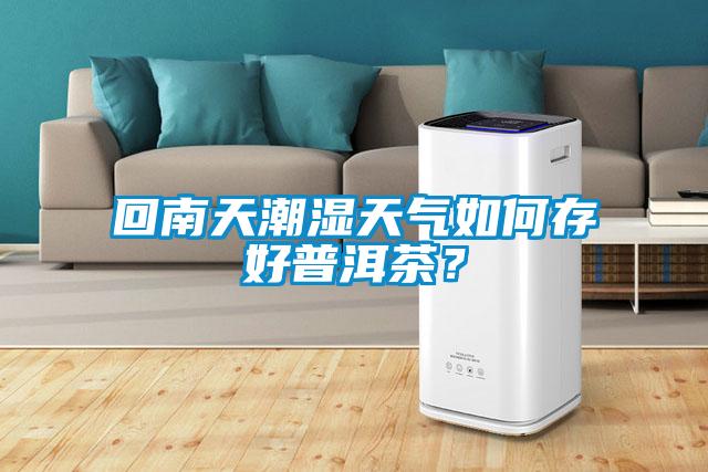 回南天潮濕天氣如何存好普洱茶？