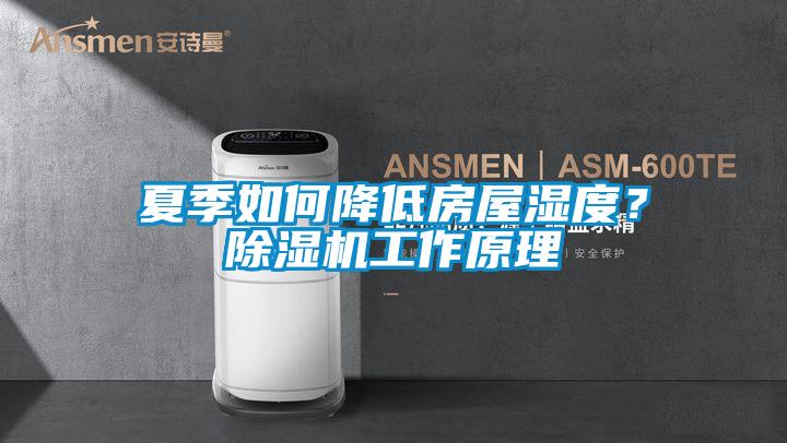 夏季如何降低房屋濕度？除濕機(jī)工作原理