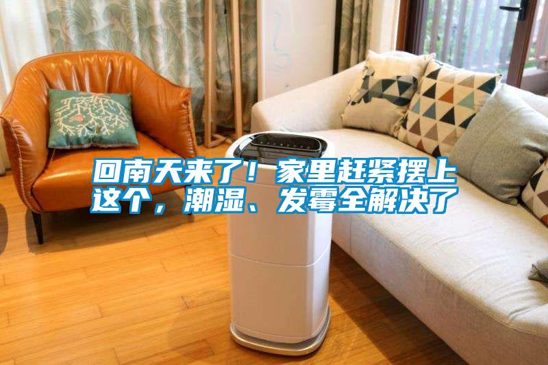 回南天來了！家里趕緊擺上這個，潮濕、發霉全解決了
