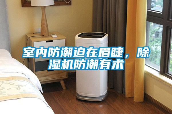 室內(nèi)防潮迫在眉睫，除濕機(jī)防潮有術(shù)