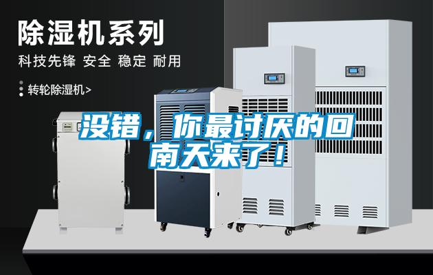 沒錯，你最討厭的回南天來了！