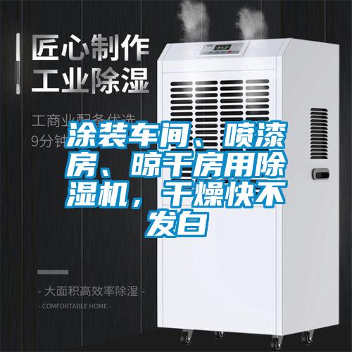 涂裝車間、噴漆房、晾干房用除濕機，干燥快不發白