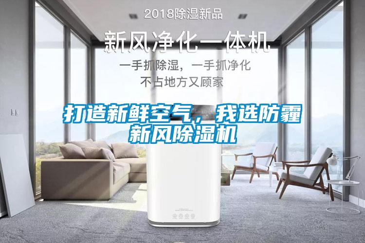 打造新鮮空氣，我選防霾新風(fēng)除濕機(jī)