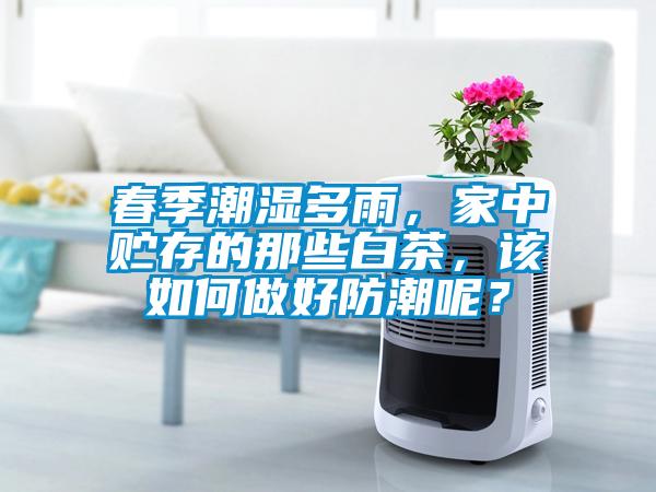 春季潮濕多雨，家中貯存的那些白茶，該如何做好防潮呢？