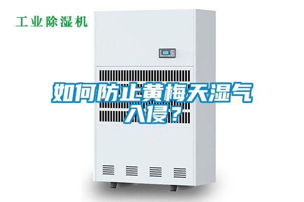 如何防止黃梅天濕氣入侵？